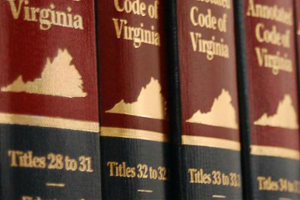 Navigating the Virginia Criminal Justice System